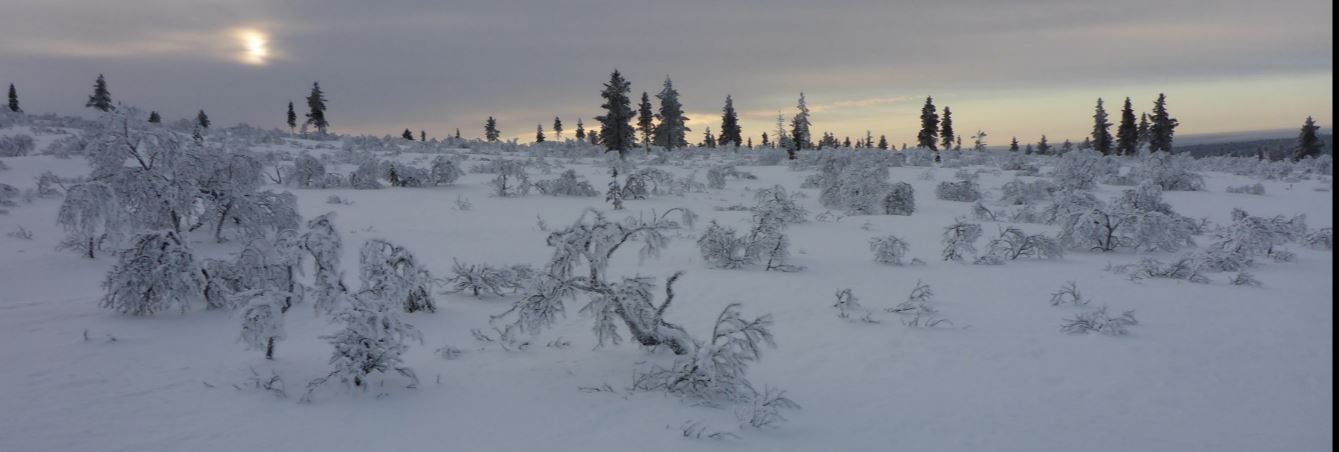 Prestations de conseil pour augmenter la valeur de votre IT